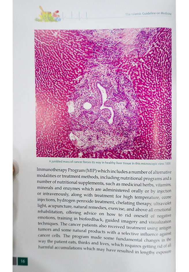 The Islamic Guideline on Medicine