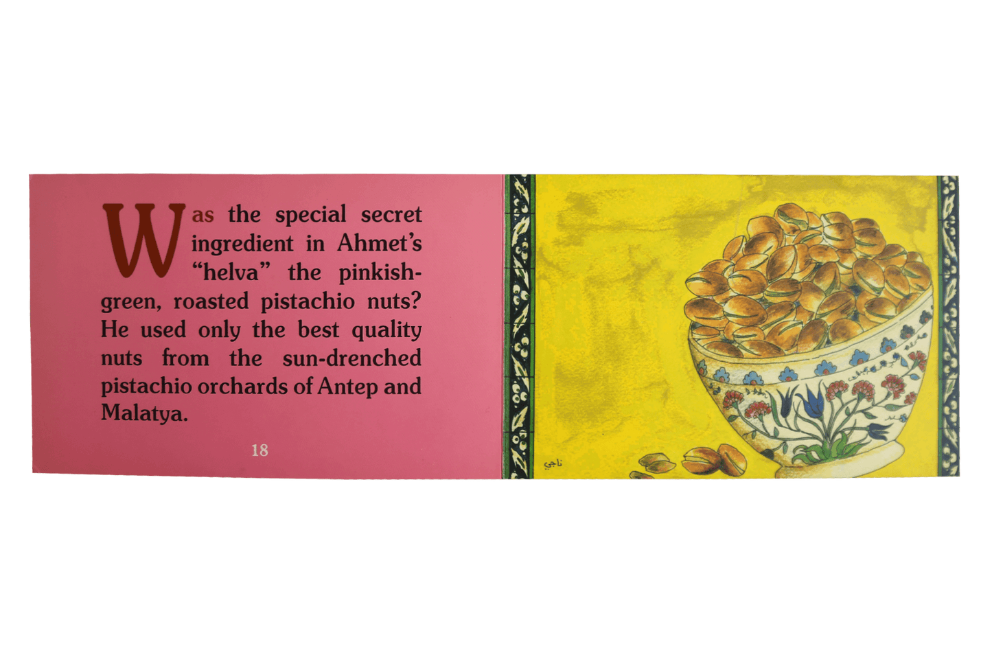 Ahmet's Secret