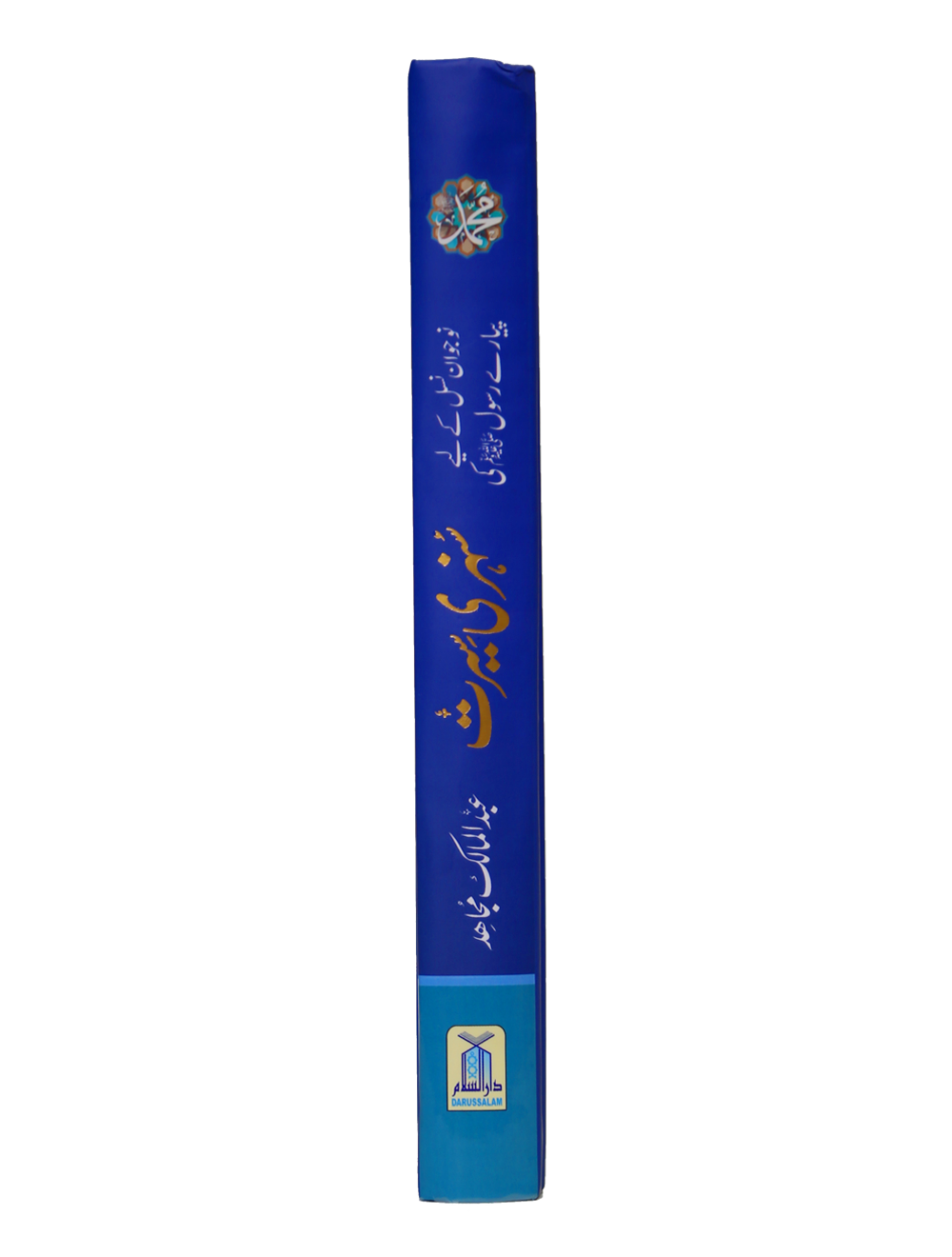 Naujawan Nasal key Lye Pyary Rasool (ﷺ) ki Sunehri Seerat 14x21 - Local