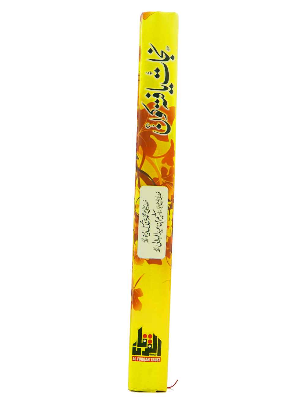 Nijat Yafta Kon?