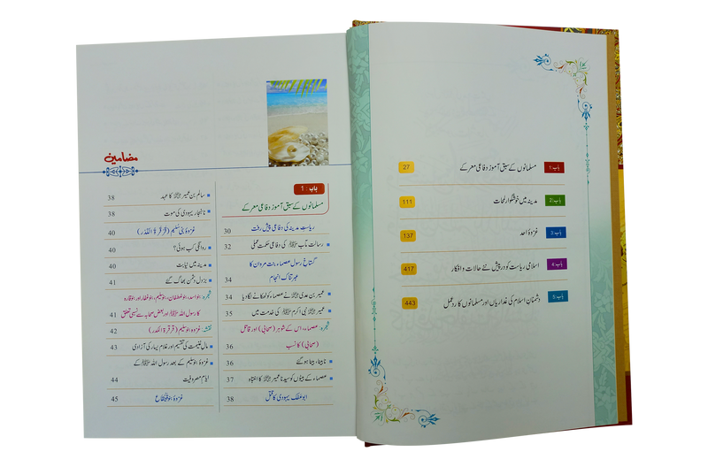 Seerat Encyclopedia (6th Vol.)
