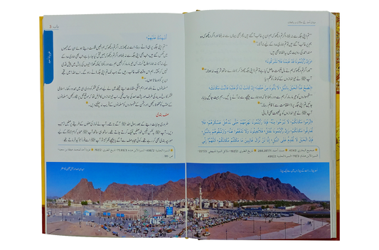 Seerat Encyclopedia (6th Vol.)
