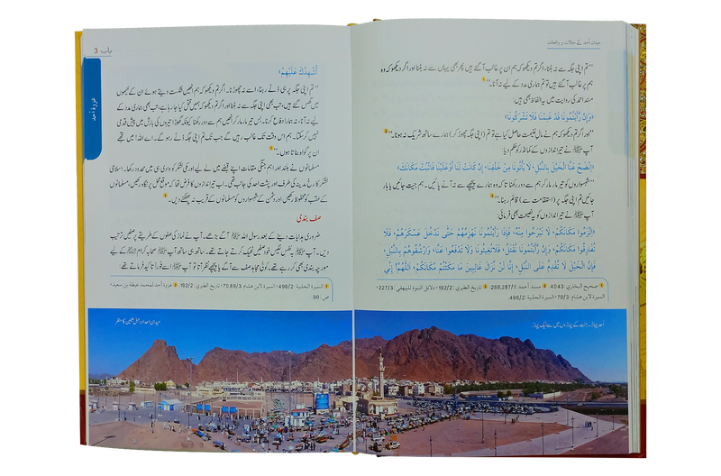 Seerat Encyclopedia (6th Vol.)