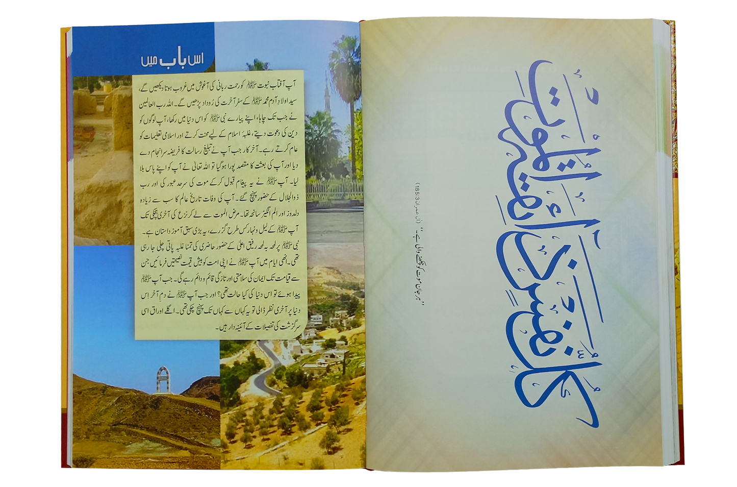 Seerat Encyclopedia (10th Vol.)