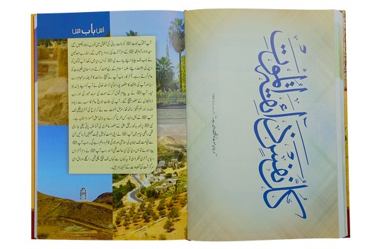 Seerat Encyclopedia (10th Vol.)