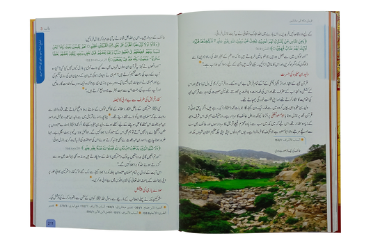 Seerat Encyclopedia (3rd Vol.)