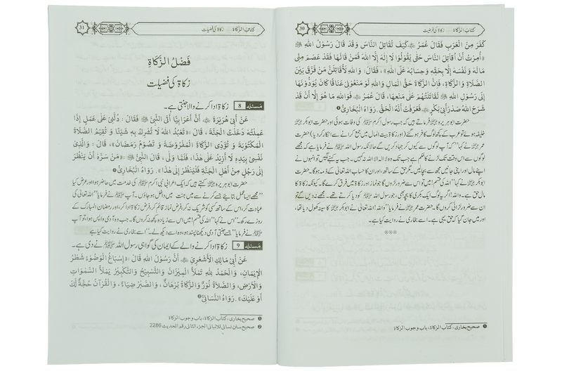 Zaqaat Kay Masail