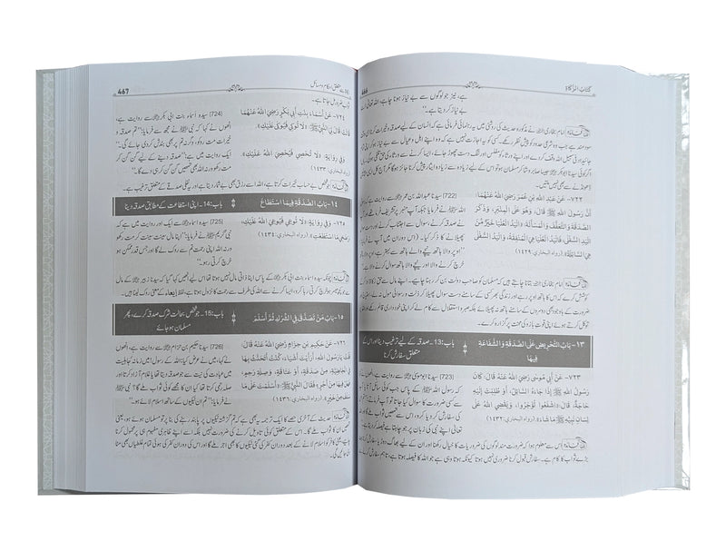 Mukhtasar Sahih al-Bukhari (2 Volume Set)