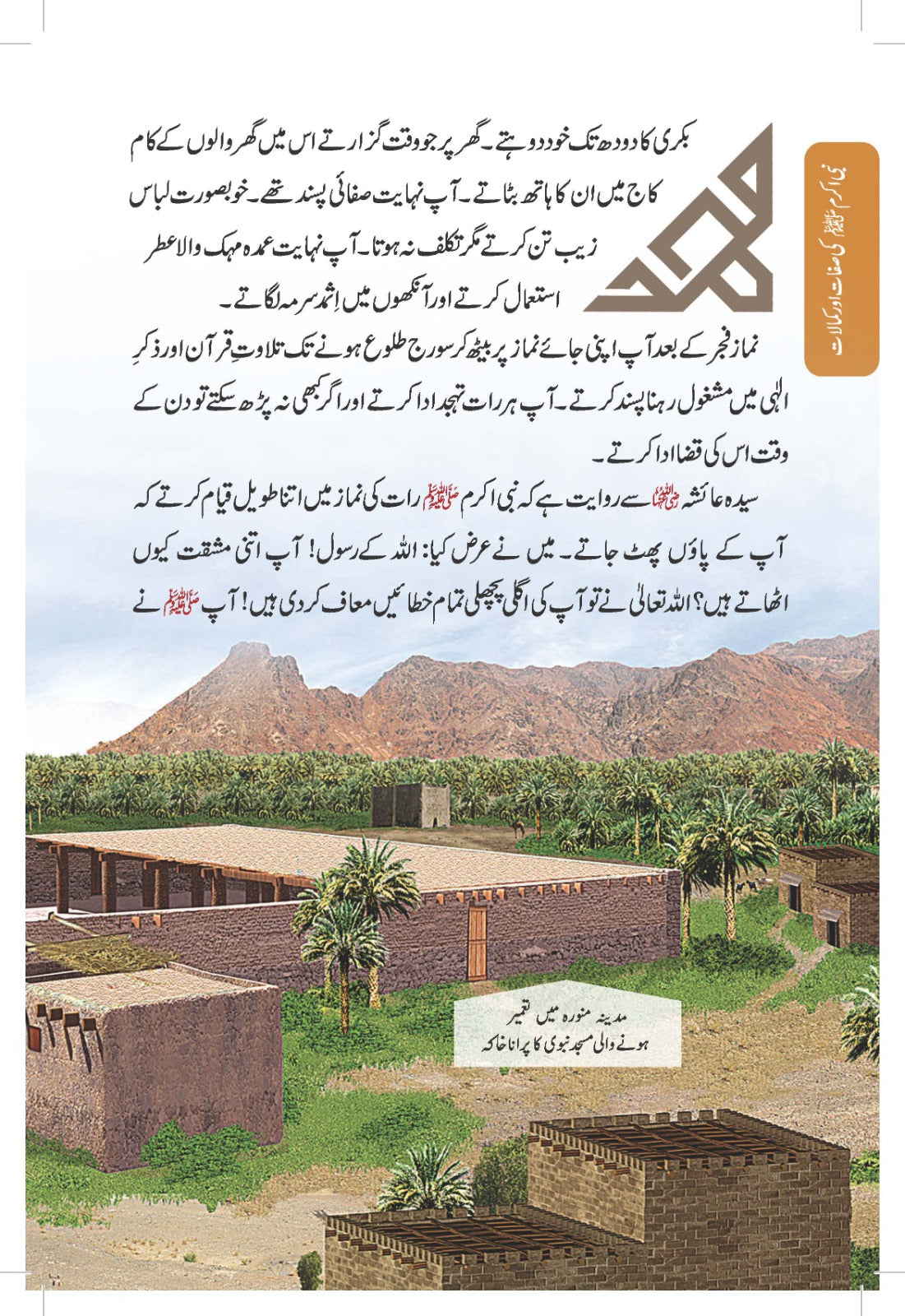 Paighambar e Islam Muhammad S.A.W. - An Illustrated Guide