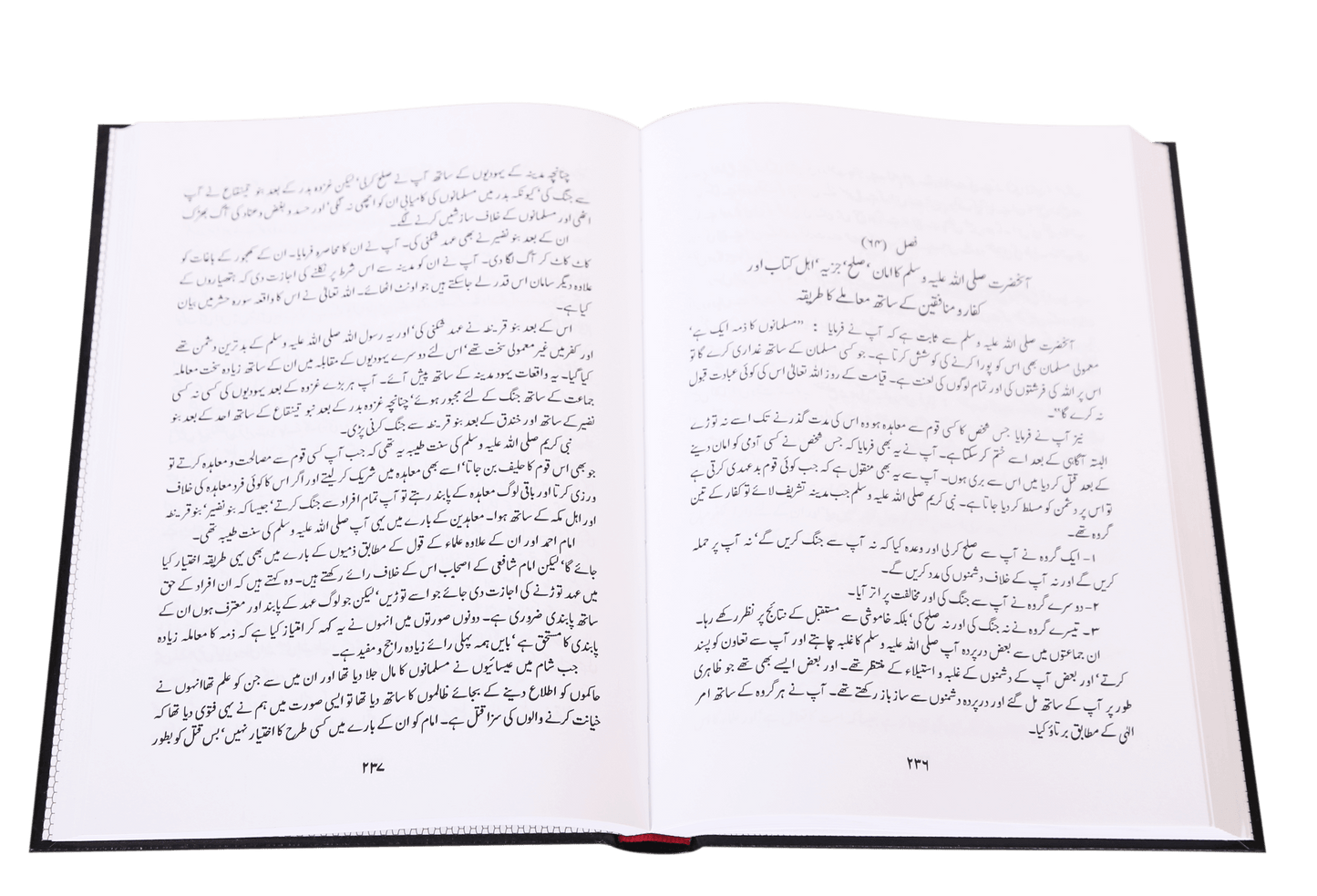 Mukhtasir Zaad ul Ma`ad