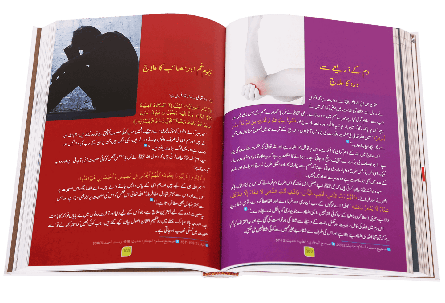 Tib-e-Nabvi (Latest) - Ibn al Qayyim