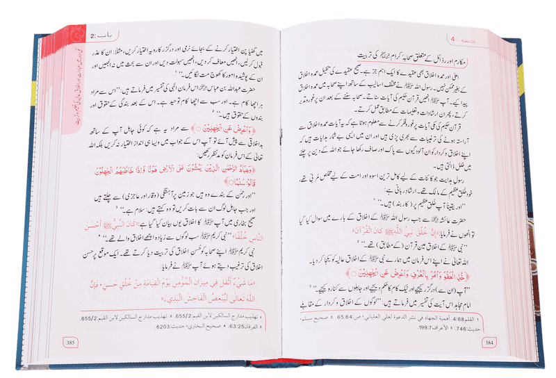 Seerat-un-Nabi (PBUH) - 2 Vols. Set by Dr. Sallabi