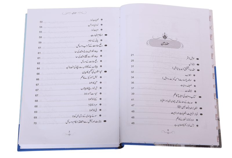 Namaz-e-Nabvi S/C - (12x17)