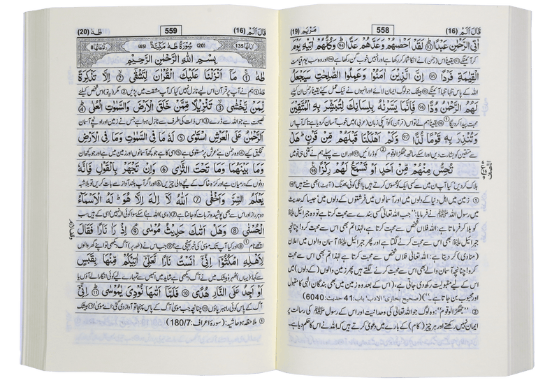 Tafseer Ahsan al Kalam (Pocket-size 10x15 cm)