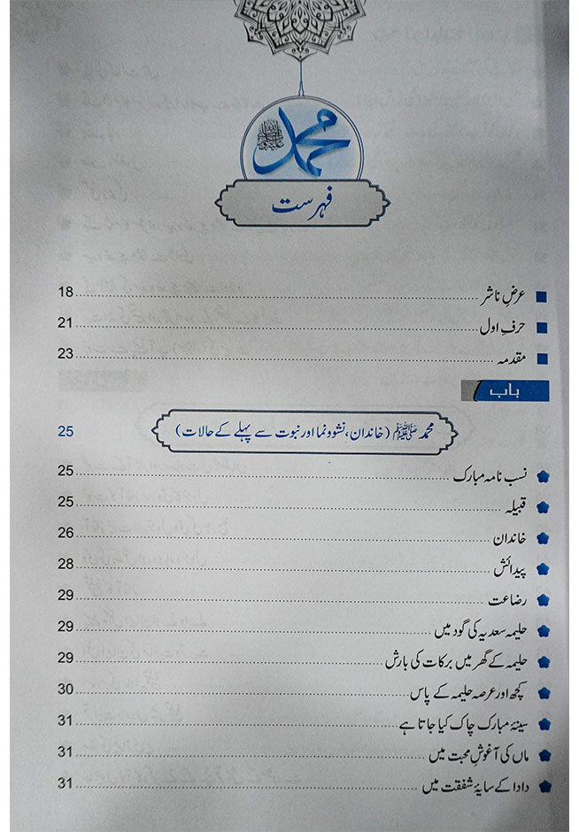 Tajalliyat-e-Nubawwat (New Edition) 17x24