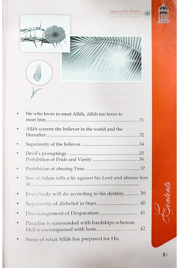 110 Ahadith Qudsi (english) Local