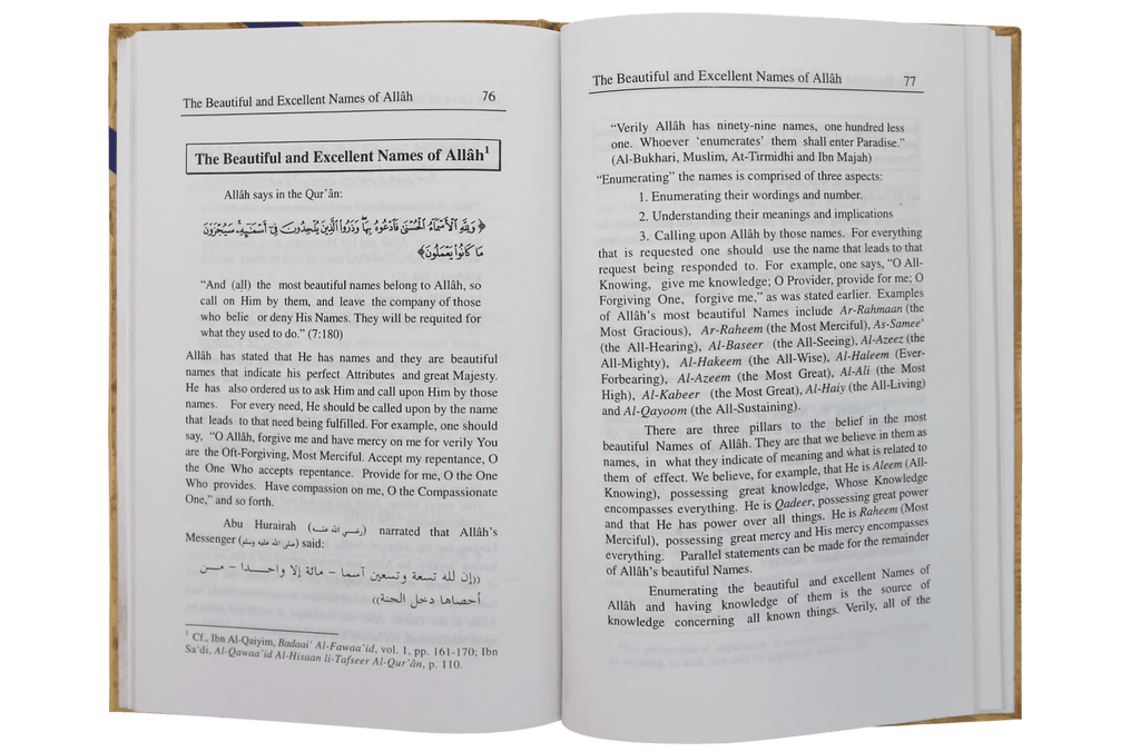 The Delight of faith