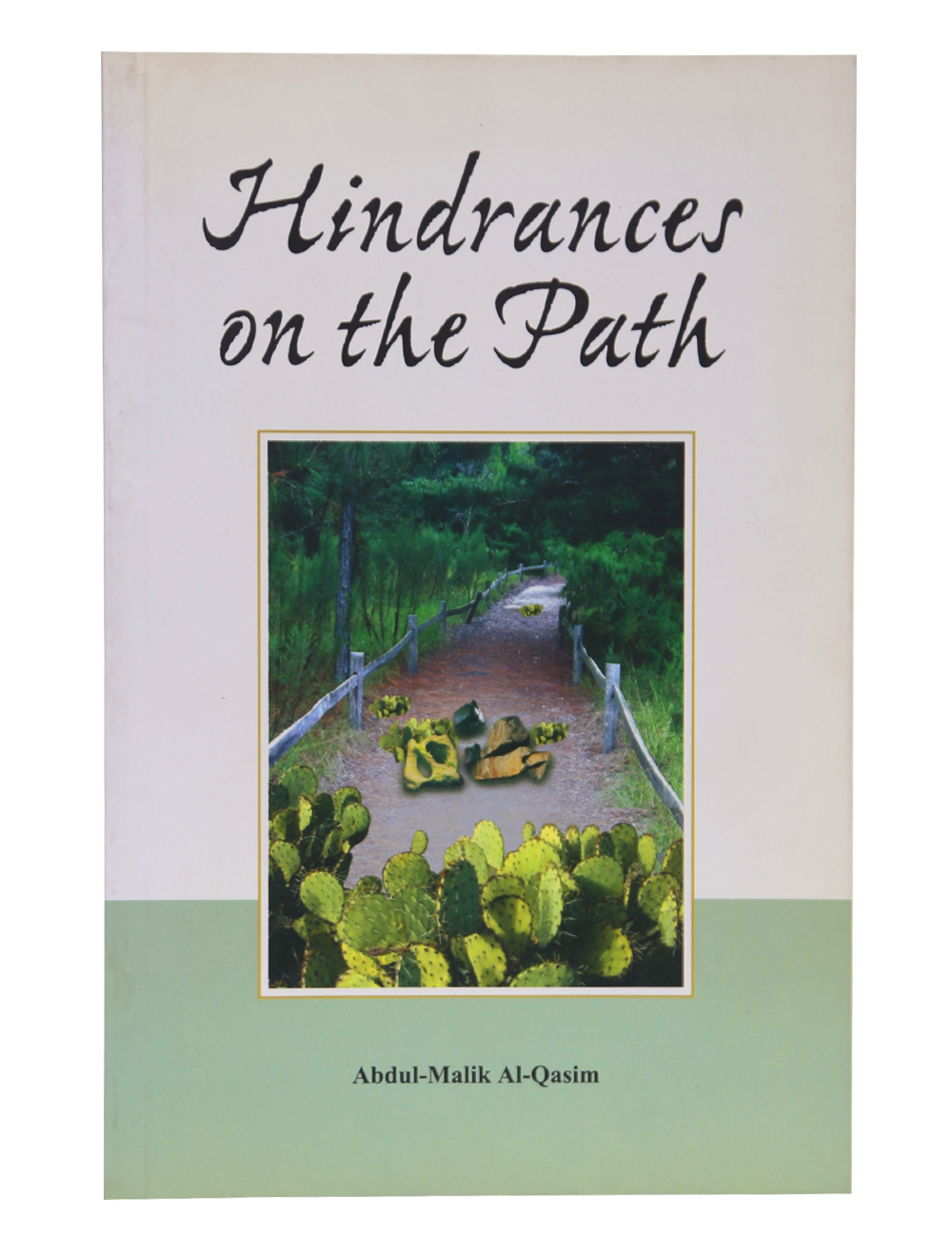 Hindrances on the Path Main image