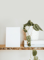 Callligraphy Glossy Sheet A4 Size Open