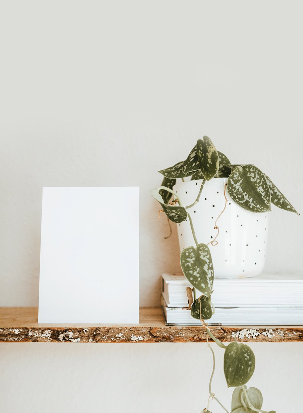 Callligraphy Glossy Sheet A4 Size Open