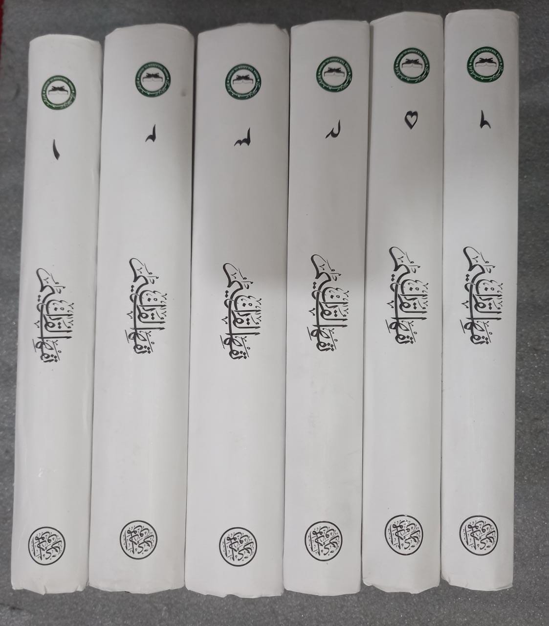 Tafheem Ul Quran-(Urdu-6 Vols Set)