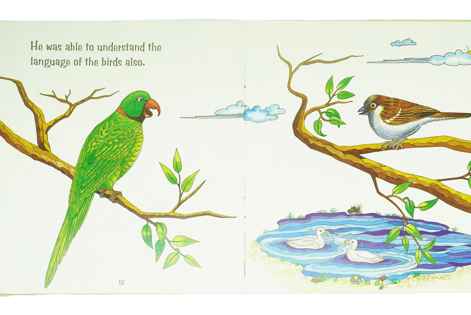 The Walks through the Valey