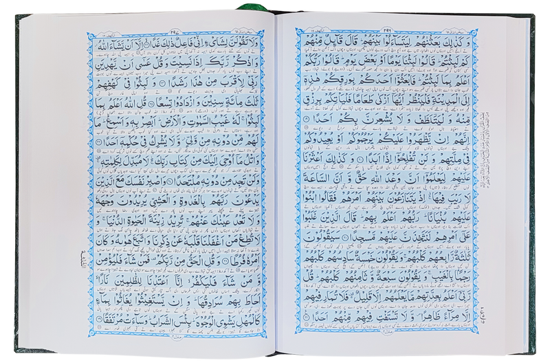 Al Quran Al Kareem - Punjabi Translation