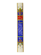 Maani Ul Quran (Beyaz Wala ) (Parah 1 to 10)