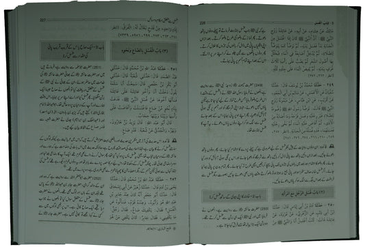 Sahih Al-Bukhari (6 Vol. Set)