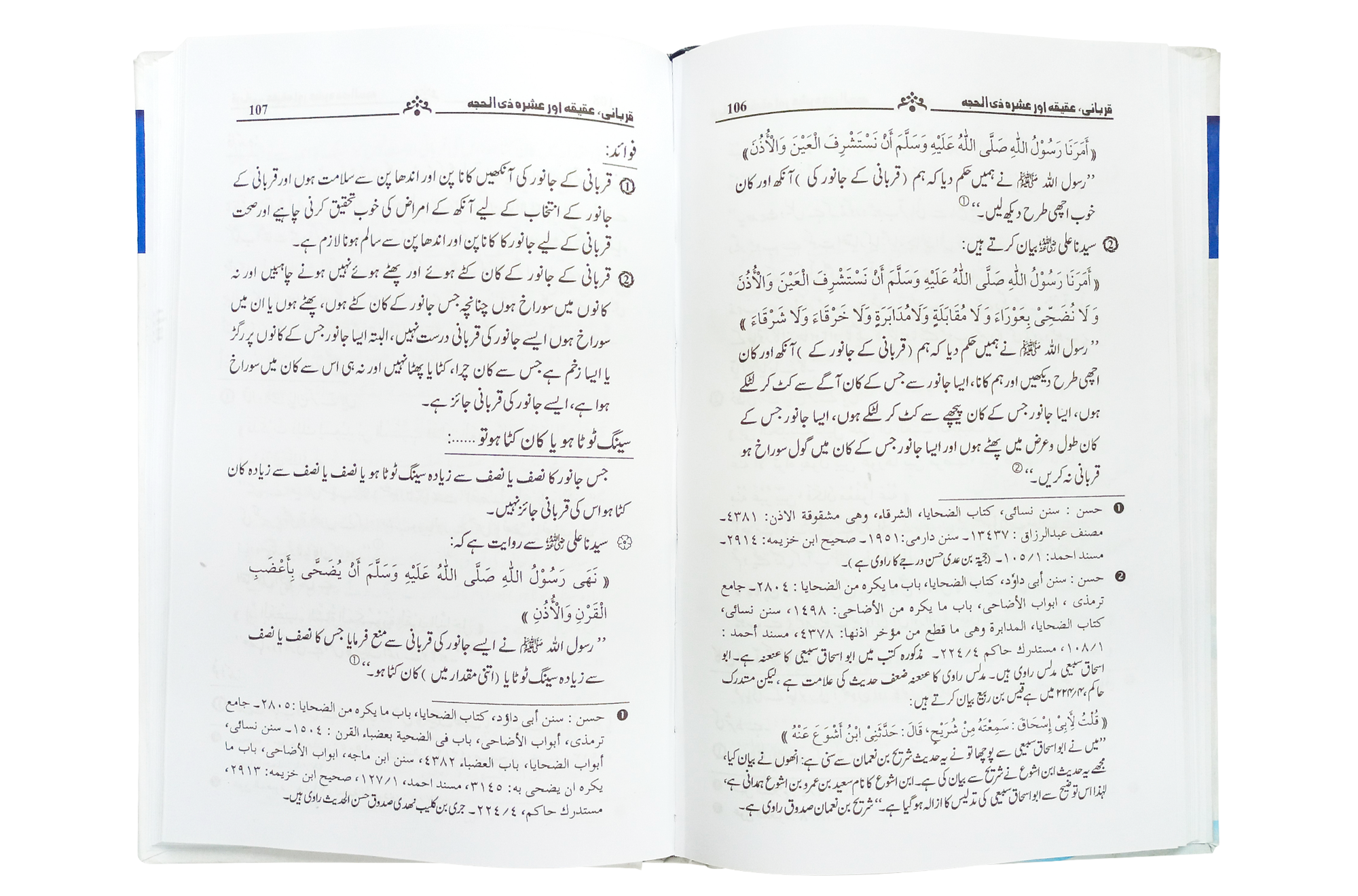 Qurbani, Aqeeqah aur Ashra Zil Hajja