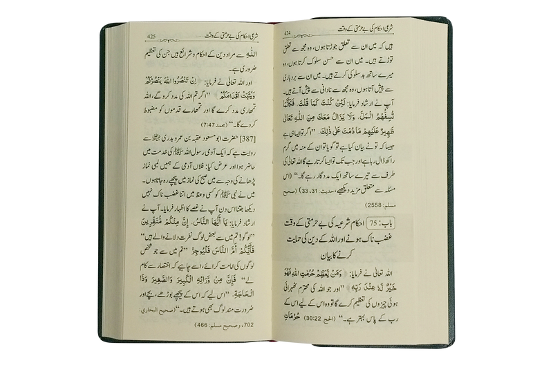 Mukhtasar Riyad Us Saliheen - Urdu