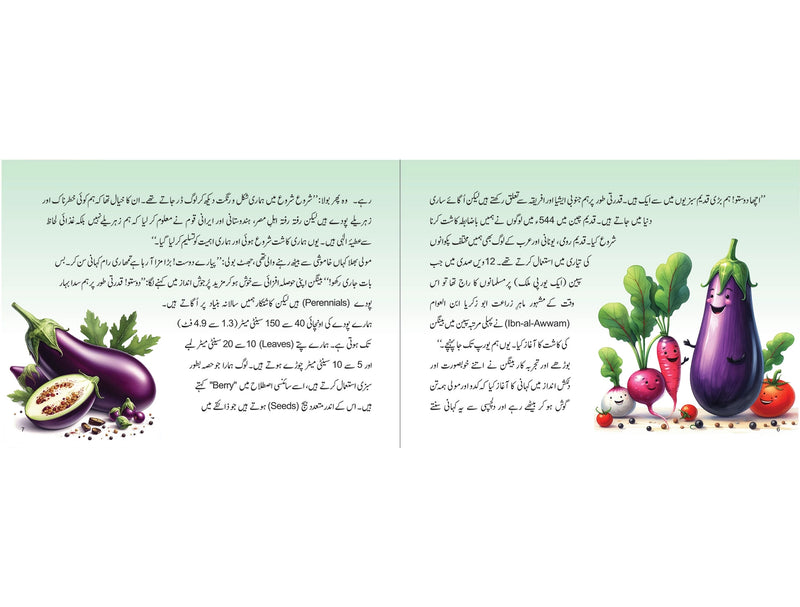 Bangan ki kahani