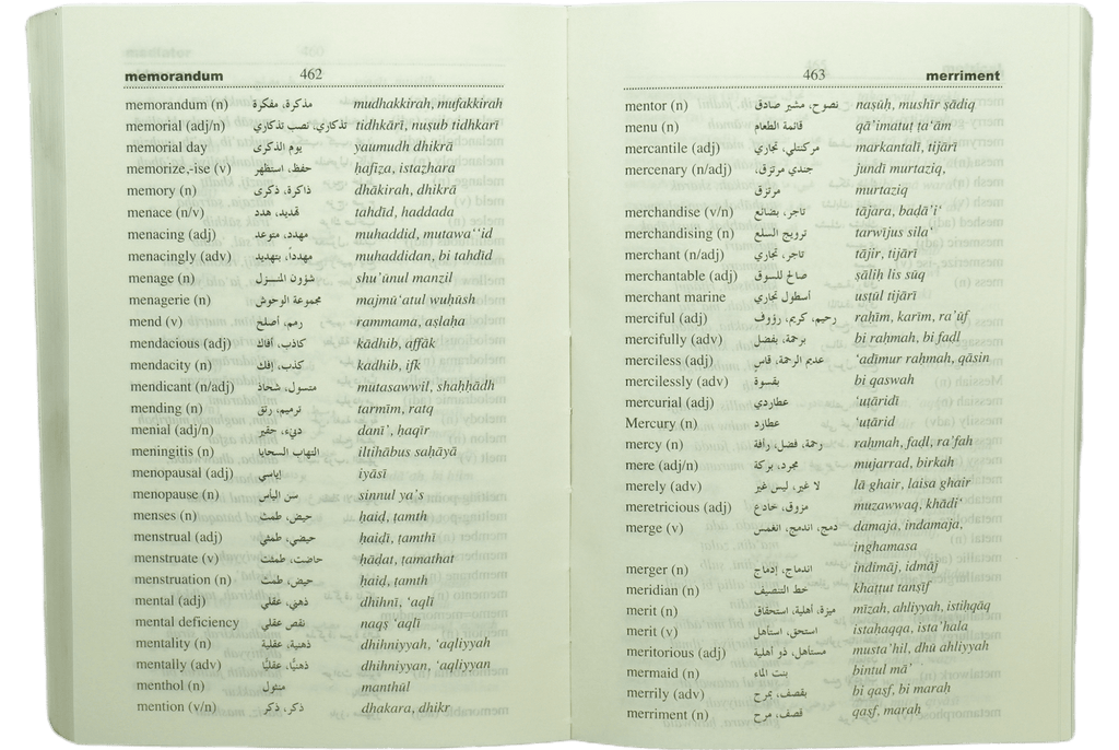 Goodword English-Arabic Dictionary (8x12)