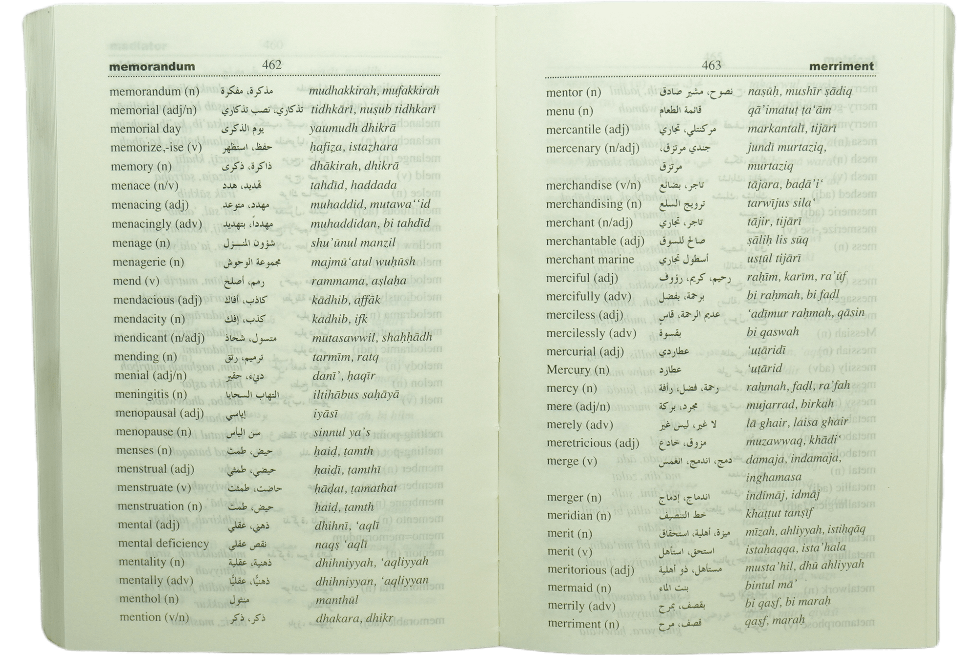 Goodword English-Arabic Dictionary (8x12)