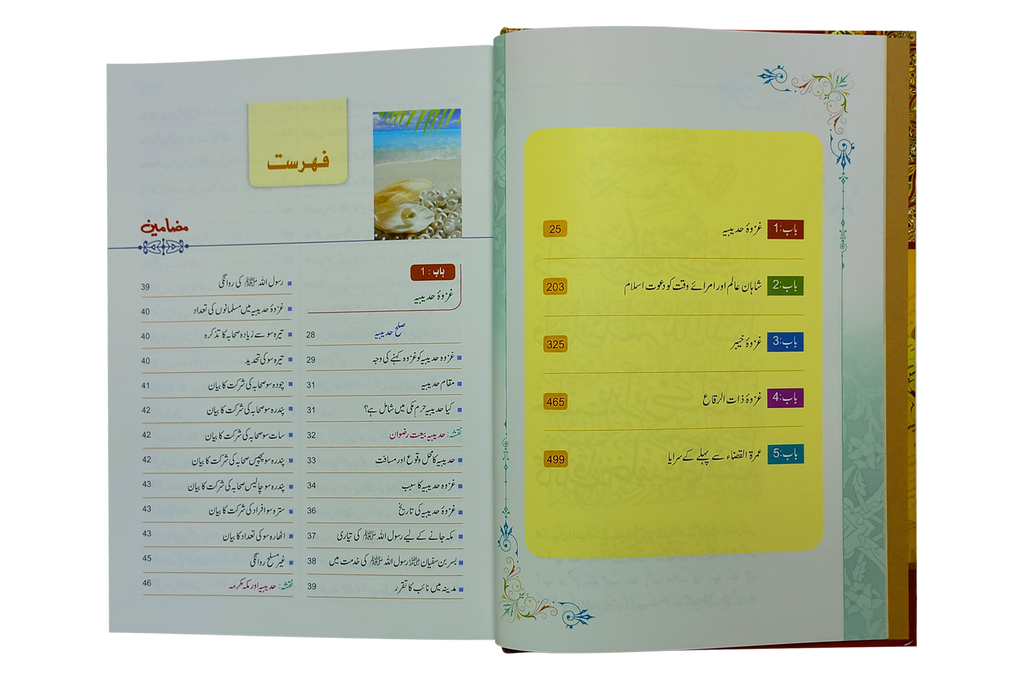 Seerat Encyclopedia (8th Vol.)