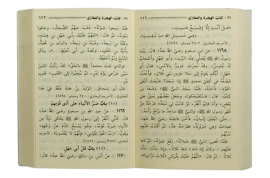 Mukhtasar Sahih Muslim - Arabic