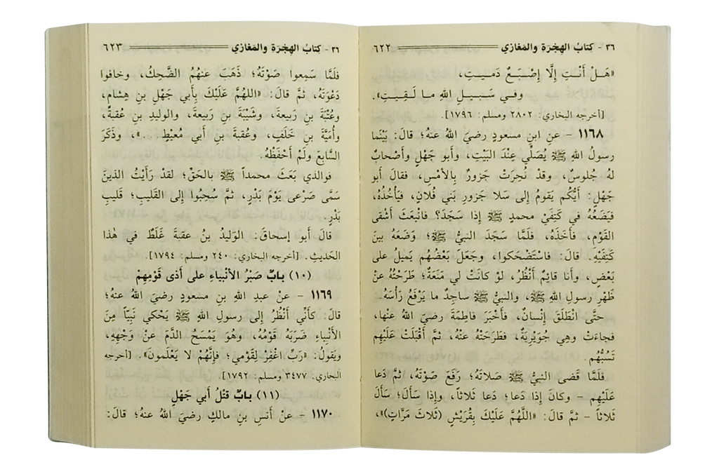 Mukhtasar Sahih Muslim - Arabic