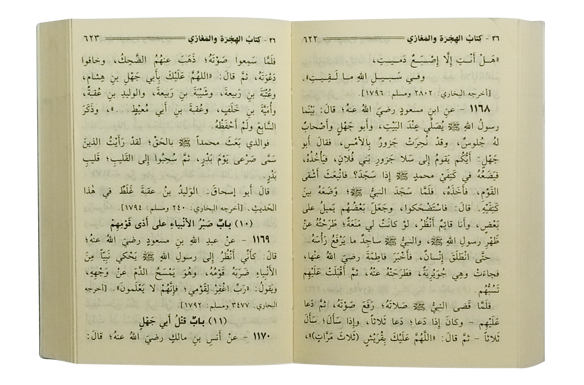 Mukhtasar Sahih Muslim - Arabic