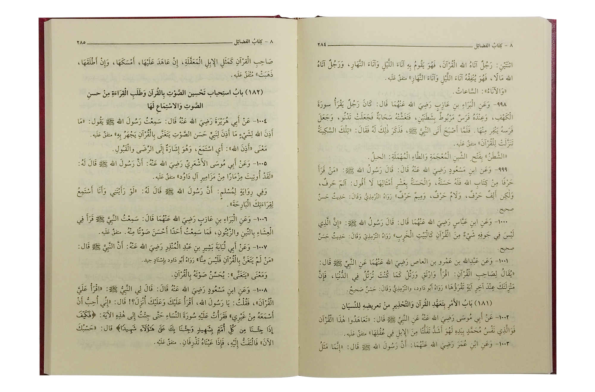 Riyad-us-Saliheen - Arabic 17x24 Secondary image