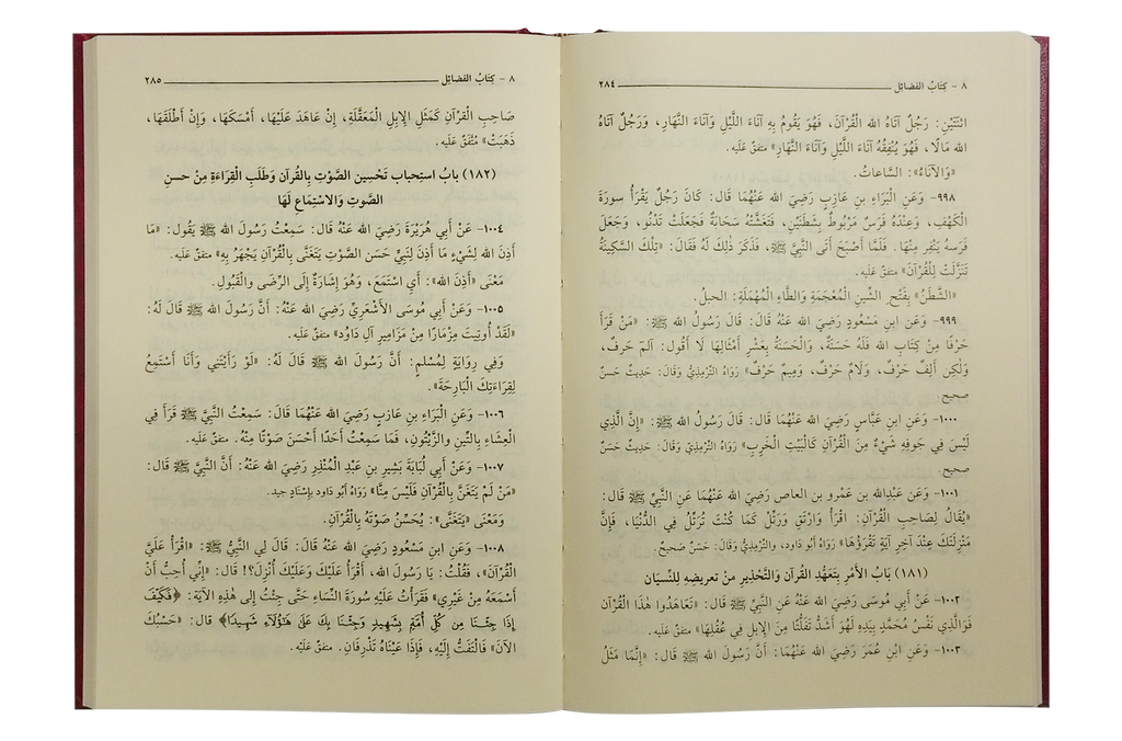 Riyad-us-Saliheen - Arabic 17x24