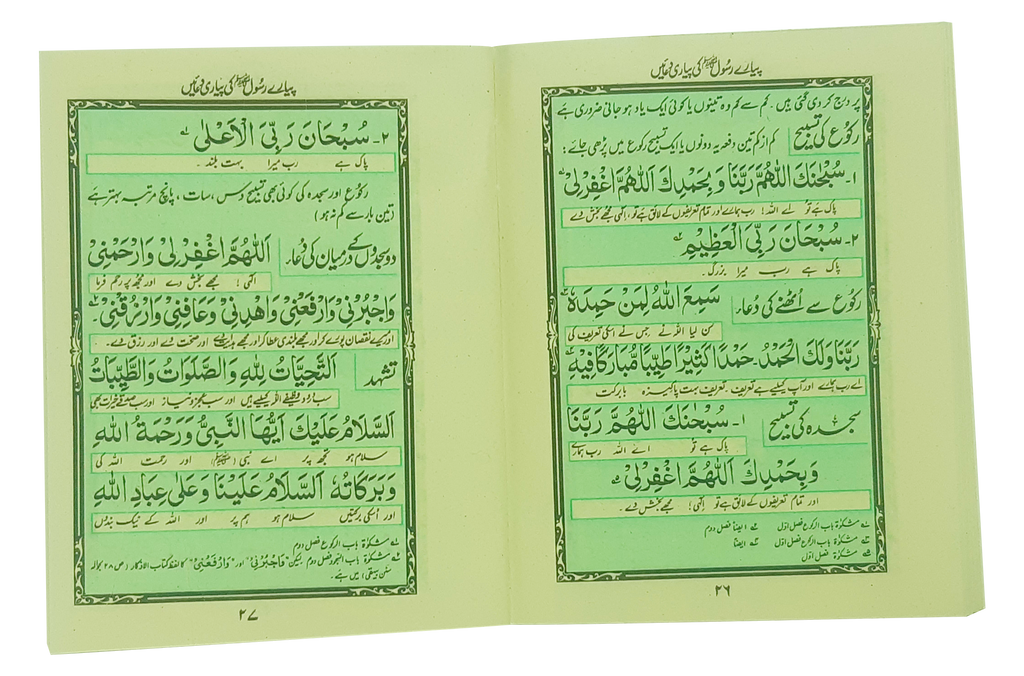 Pyary Rasool ki Payari Duain (Pocket) - Aam