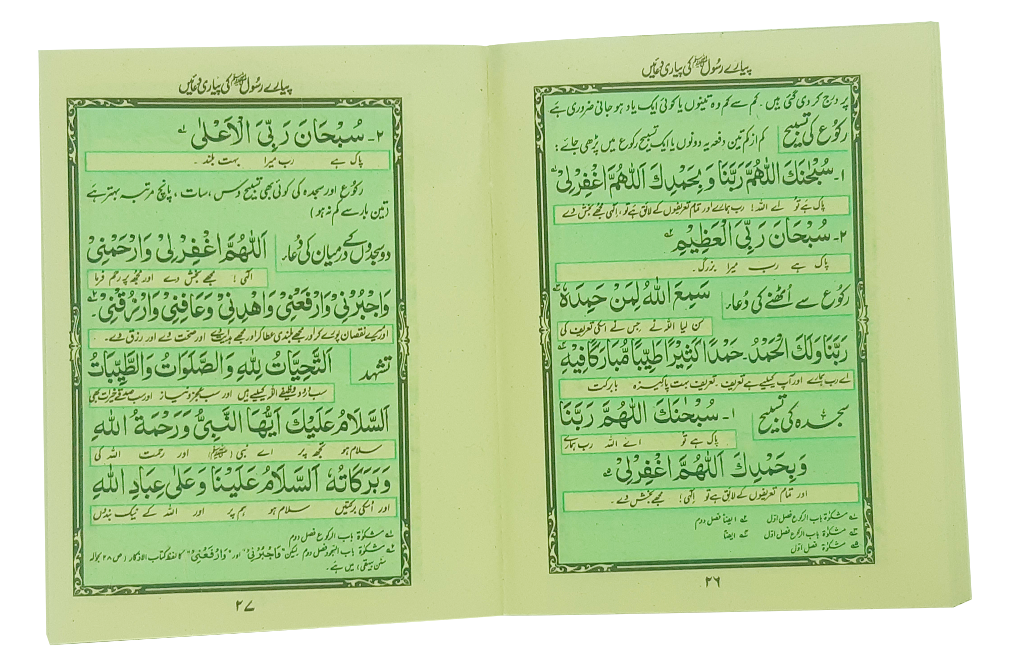 Pyary Rasool ki Payari Duain (Pocket) - Aam