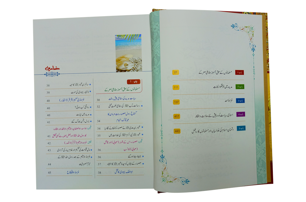 Seerat Encyclopedia (6th Vol.)