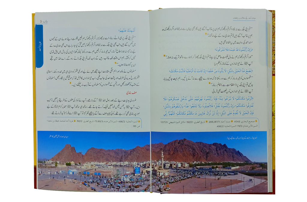 Seerat Encyclopedia (6th Vol.)