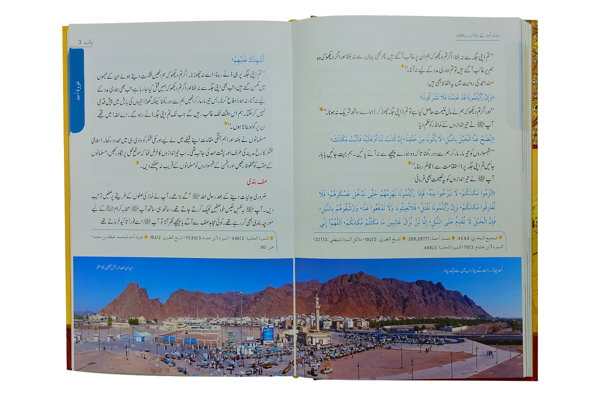 Seerat Encyclopedia (6th Vol.)