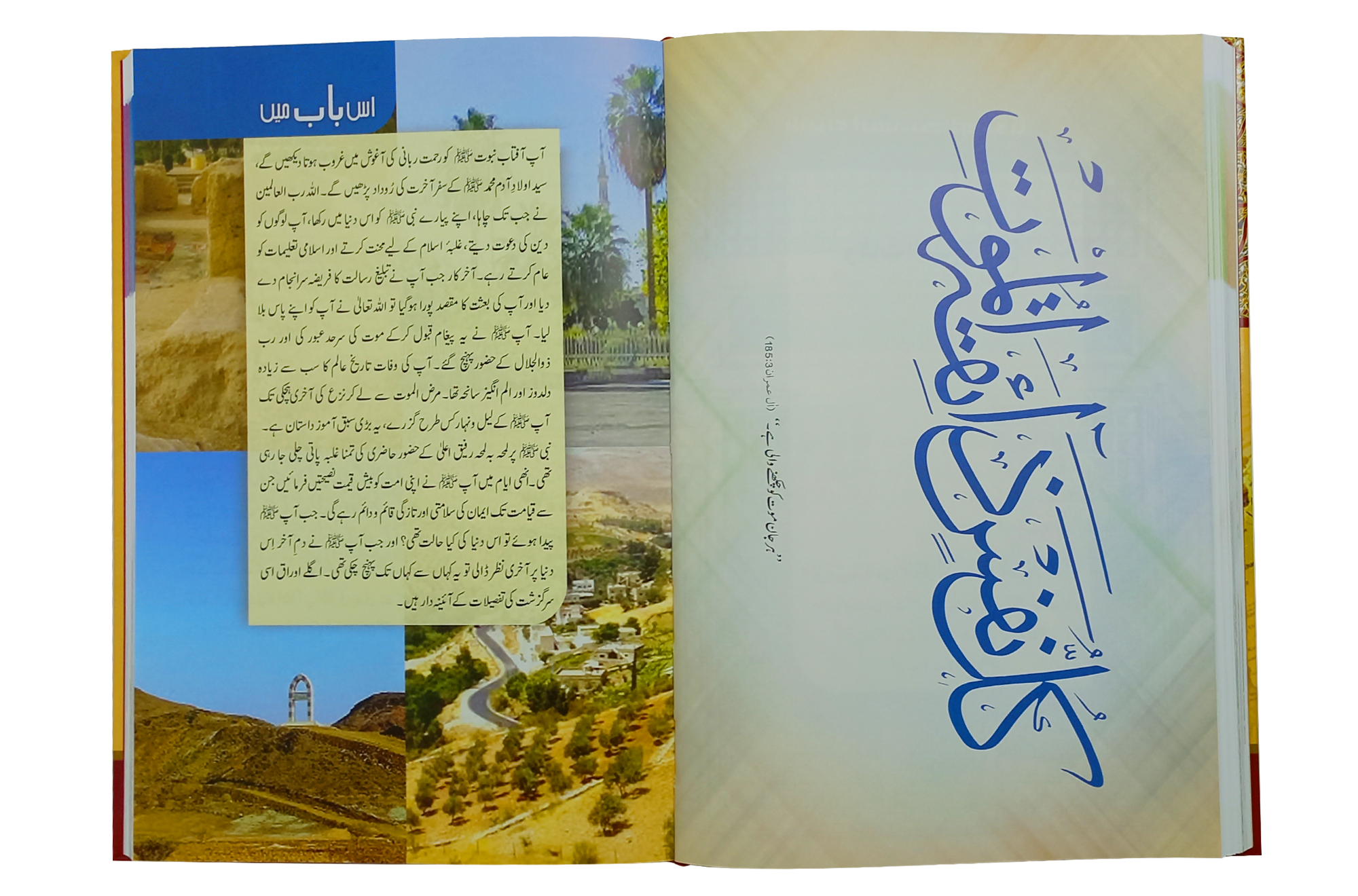 Seerat Encyclopedia (10th Vol.)