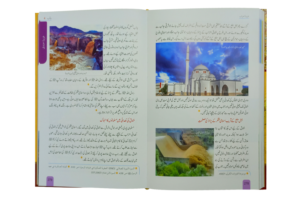 Seerat Encyclopedia (7th Vol.)