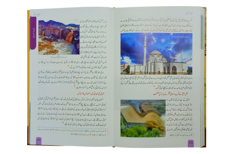 Seerat Encyclopedia (7th Vol.)