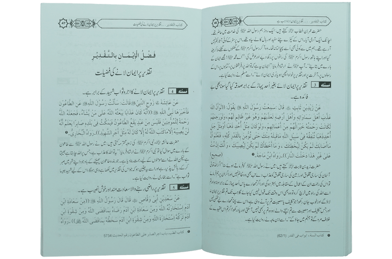 Taqdeer Kay Masail