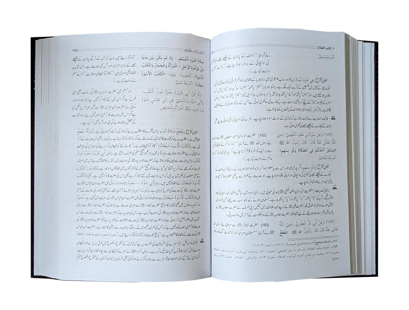 Bulugh ul Maram - 2 Vol. Set – Urdu – 17x24 (Imported)